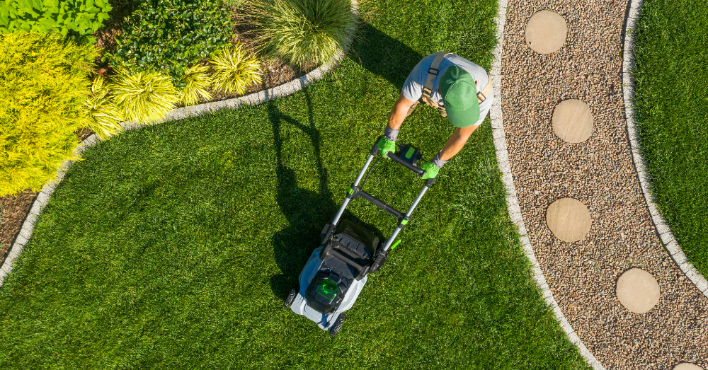 Should You Replace Your Gas Mower and Power Tools for Electric Models?