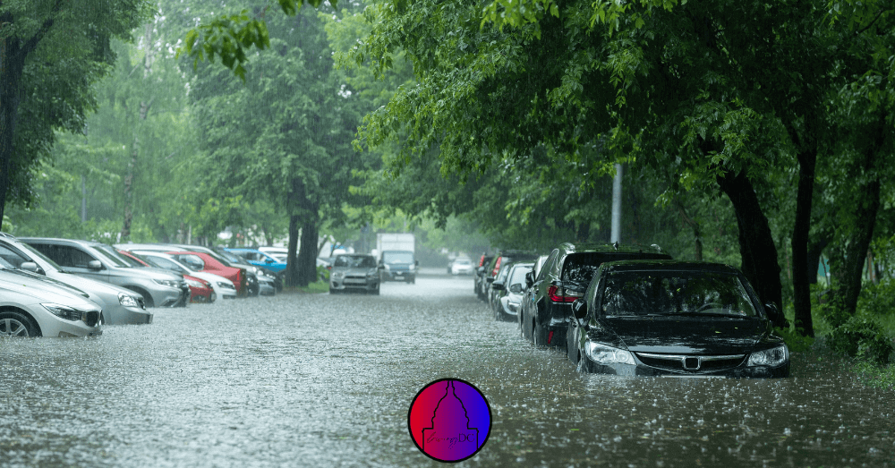 How to Identify Flood-Damage in a Used Car